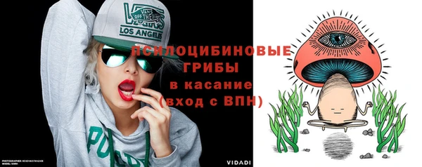 прущая мука Козловка