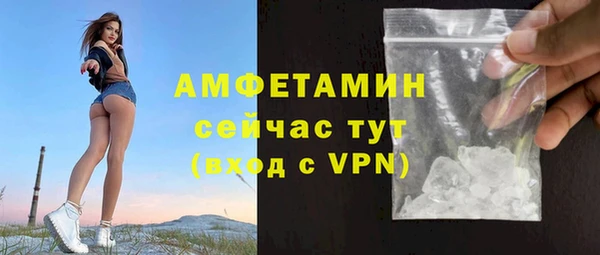 сатива Козельск