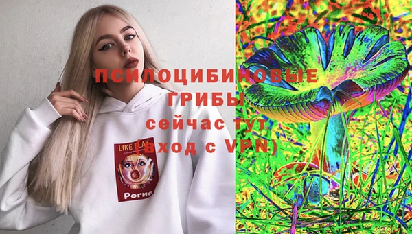 прущая мука Козловка