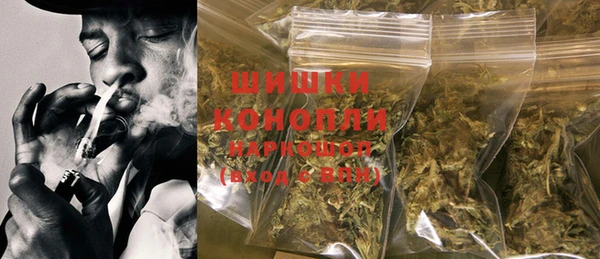 сатива Козельск