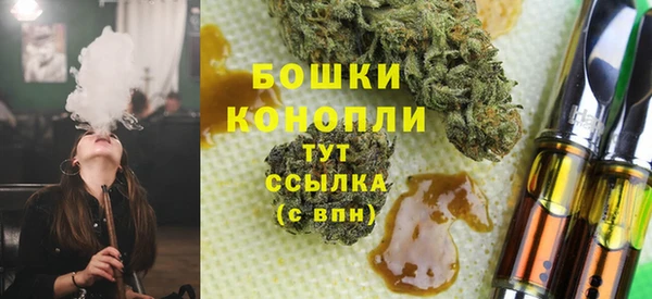 сатива Козельск