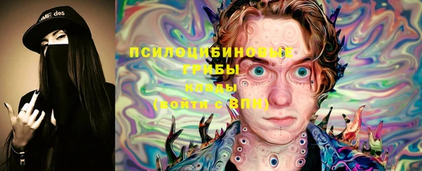 прущая мука Козловка