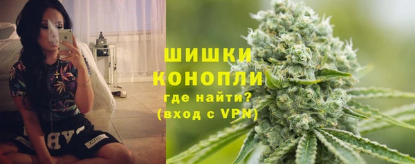 сатива Козельск
